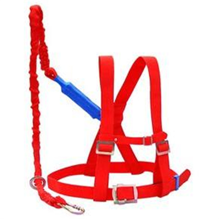 红色双背单绳缓冲带_红色双背单绳缓冲安全带_红色双背单绳带缓冲安全带