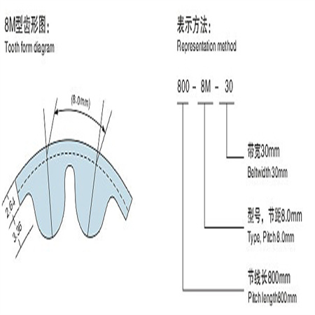 HTD-8M同步带,8M型HTD圆弧齿同步带(橡胶/聚胺酯)